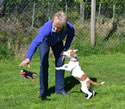 Moorfield Kennels Cumbria