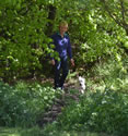Moorfield Kennels Cumbria